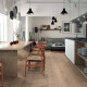 Wood-effect porcelain stoneware floor tiles, 20x120 Frame Mid, matt, rectified, A4H101 #2