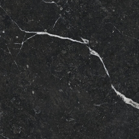 Glazed Porcelain Floor Tiles 60x120, black with gold veining, gloss finish, rectified, A4H109 Pierre Black #37