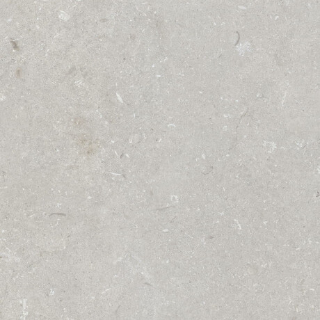 60x120 cm floor tiles, light grey matt, A4H1093 Shellstone Bianco #1