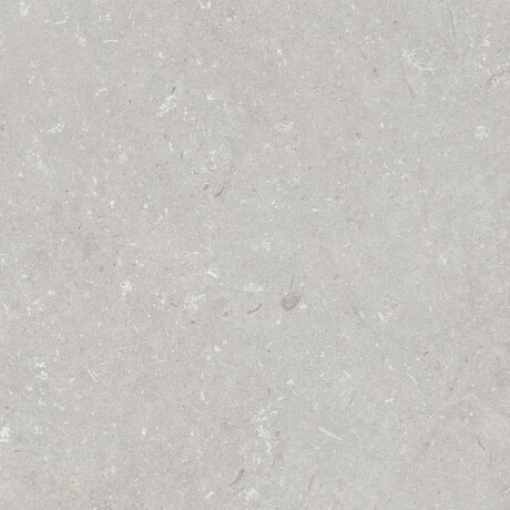 60x120 cm floor tiles, light grey matt, A4H1093 Shellstone Bianco #2