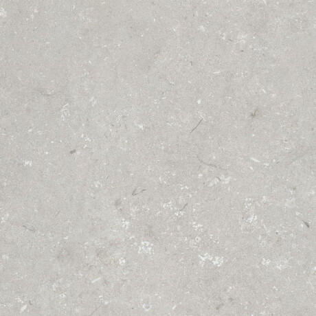 60x120 cm floor tiles, light grey matt, A4H1093 Shellstone Bianco #3