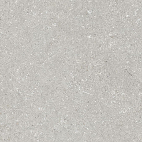 60x120 cm floor tiles, light grey matt, A4H1093 Shellstone Bianco #4