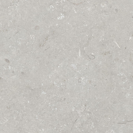 60x120 cm floor tiles, light grey matt, A4H1093 Shellstone Bianco #5
