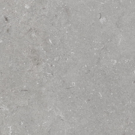 60x120 cm matt grey floor tiles A4H1096 Shellstone Grigio #4