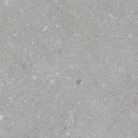 60x120 cm matt grey floor tiles A4H1096 Shellstone Grigio #5