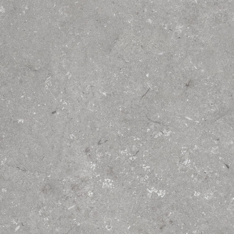 60x120 cm matt grey floor tiles A4H1096 Shellstone Grigio #6
