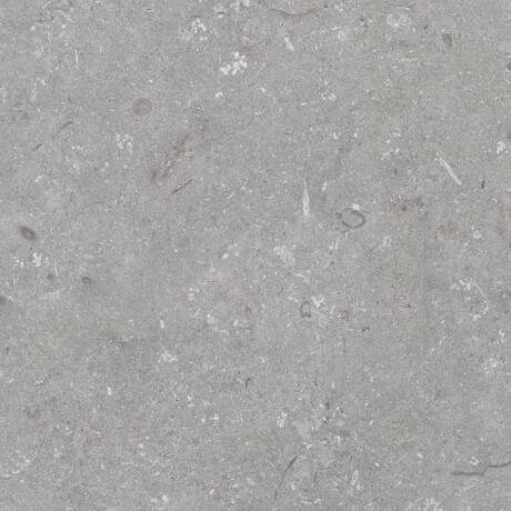 60x120 cm matt grey floor tiles A4H1096 Shellstone Grigio #8