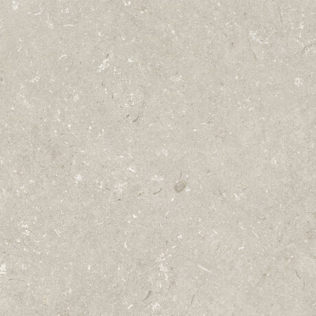 60x120 cm beige matt floor tiles A4H1099 Shellstone Beige #4
