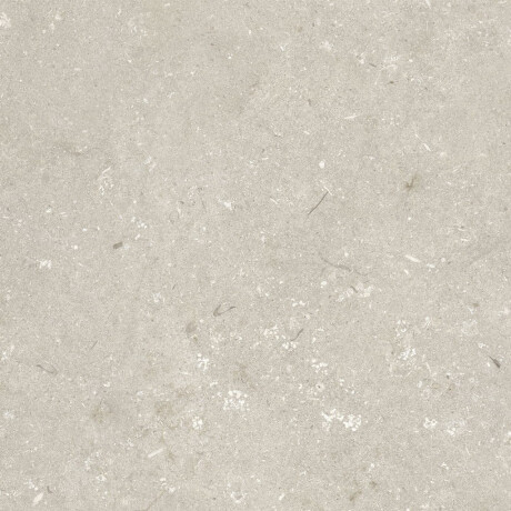 60x120 cm beige matt floor tiles A4H1099 Shellstone Beige #5