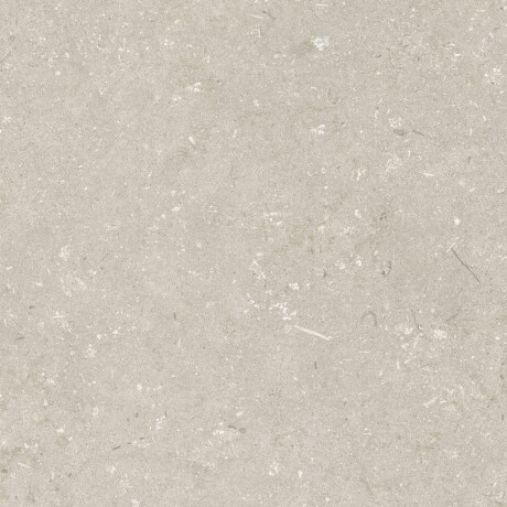 60x120 cm beige matt floor tiles A4H1099 Shellstone Beige #6