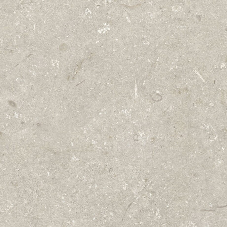 60x120 cm beige matt floor tiles A4H1099 Shellstone Beige #7