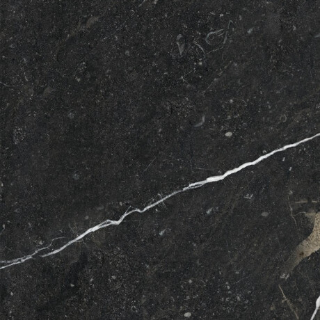 Glazed Porcelain Floor Tiles 60x120 with a gold vein, matt, rectified, A4H110 Pierre Black #20