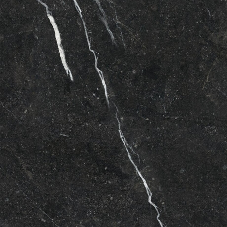 Glazed Porcelain Floor Tiles 60x120 with a gold vein, matt, rectified, A4H110 Pierre Black #23