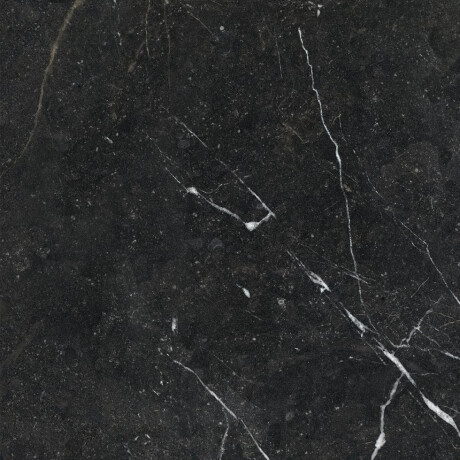 Glazed Porcelain Floor Tiles 60x120 with a gold vein, matt, rectified, A4H110 Pierre Black #26