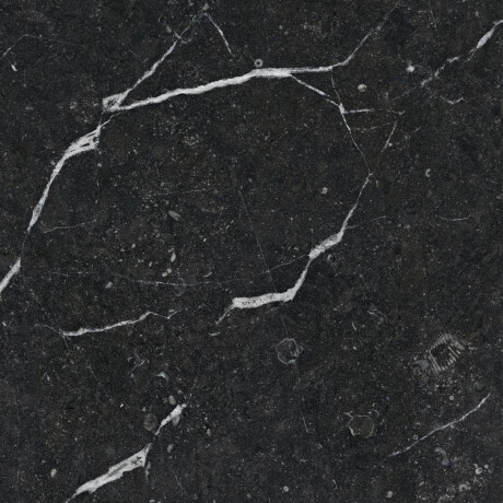 Glazed Porcelain Floor Tiles 60x120 with a gold vein, matt, rectified, A4H110 Pierre Black #38