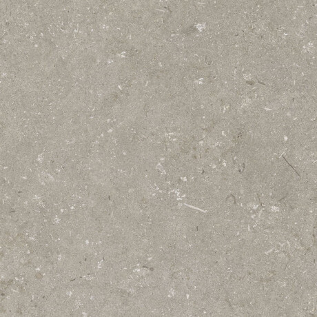 60x120 cm taupe matt floor tiles A4H1102 Shellstone Taupe #4