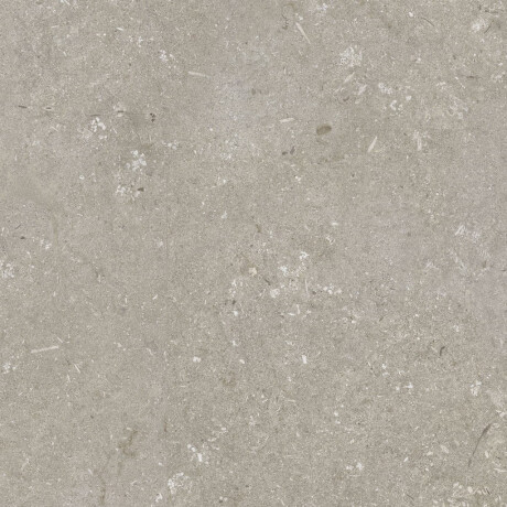 60x120 cm taupe matt floor tiles A4H1102 Shellstone Taupe #5