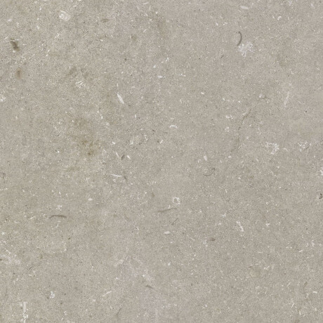 60x120 cm taupe matt floor tiles A4H1102 Shellstone Taupe #6