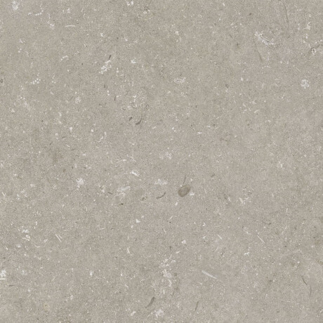 60x120 cm taupe matt floor tiles A4H1102 Shellstone Taupe #7