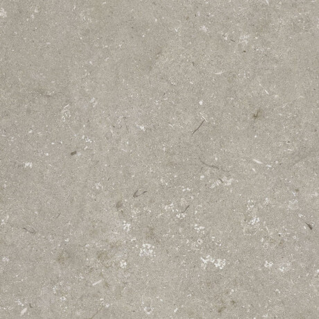 60x120 cm taupe matt floor tiles A4H1102 Shellstone Taupe #8