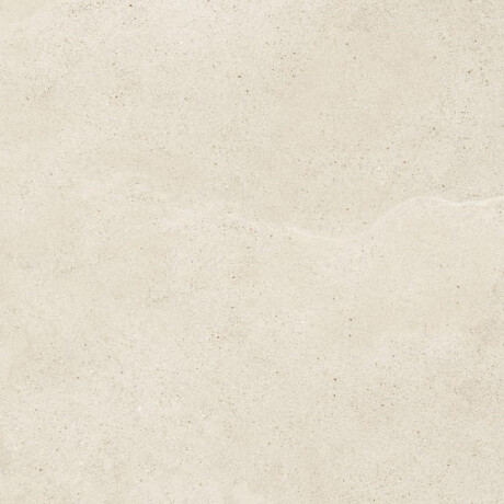 Floor tiles 60.5 x 120.5, grey-beige taupe, matt stone finish, A4H485 Fusion Brown #3