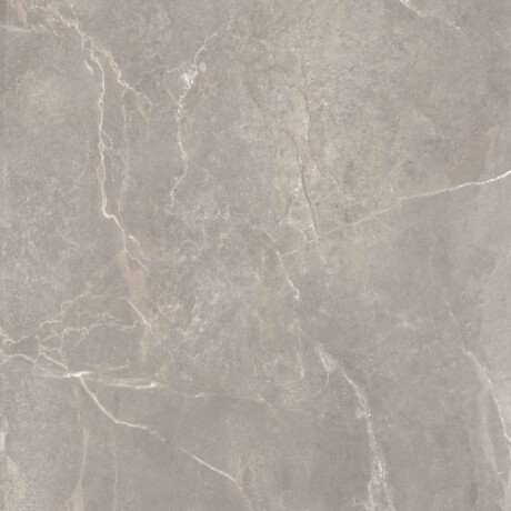 Glazed Porcelain Floor Tiles 60x120cm, matt grey, rectified, A4H84 Iroc Greige #2