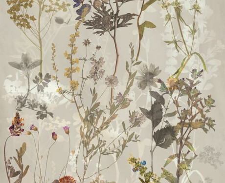 60x120 cm grey wall tiles with floral patterns, matt finish, A4H919 Glame