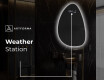 Irregular Mirror LED Lighted decorative design D221 #6