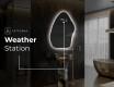 Irregular Mirror LED Lighted decorative design G221 #6