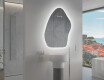 Irregular Mirror LED Lighted decorative design G221 #9