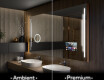 Designer Backlit LED Bathroom Mirror L27