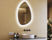 Irregular‑shaped mirror with lighting, 64×94 cm, dual color, touch switch, heating mat