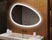 Irregular‑shaped mirror with lighting, 114×84 cm, dual color, touch switch, heating mat