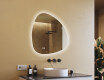 Irregular-shaped mirror with lighting, 84×84 cm, dual color, touch switch, heating mat