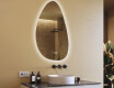 Irregular-shaped mirror with lighting, 64×104 cm, dual color, touch switch, heating mat