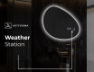 Irregular Mirror LED Lighted decorative design H221 #7