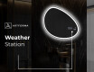 Irregular Mirror LED Lighted decorative design H222 #7