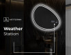 Irregular Mirror LED Lighted decorative design H223 #8