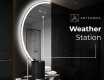 Semi-Circular Mirror with LED illumination D222 #6