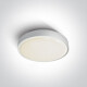 RAFTI AN ceiling light 24W 3000K IP65 anthracite #1