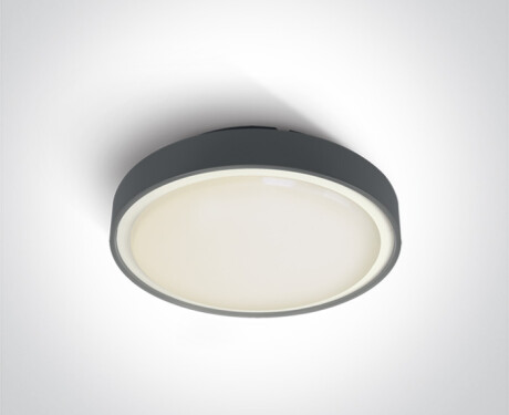 RAFTI AN ceiling light, 24W, 3000K, IP65, white