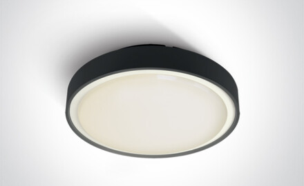 RAFTI E ceiling light 12W  IP65 anthracite