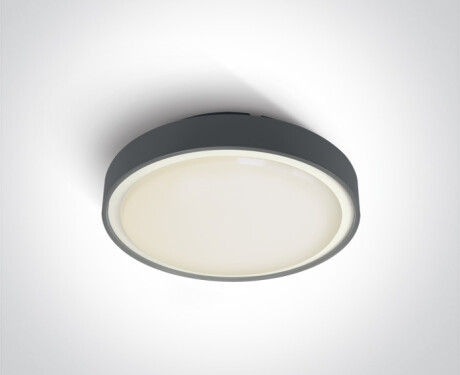 RAFTI EA ceiling light 2x12W  IP65 white