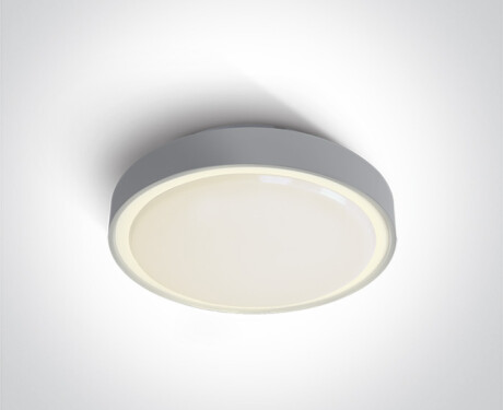 RAFTI E ceiling light 12W  IP65 black