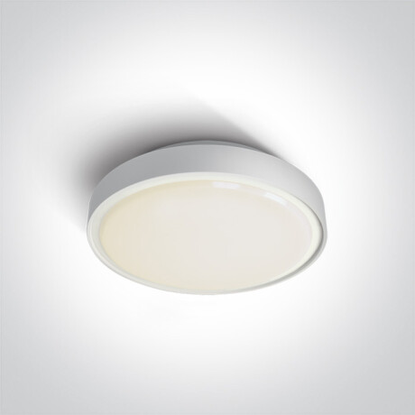 RAFTI E ceiling light 12W  IP65 grey #1