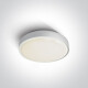 RAFTI E ceiling light 12W  IP65 grey #1