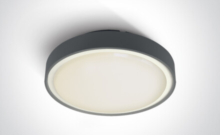 RAFTI E ceiling light 12W  IP65 white