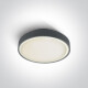 RAFTI E ceiling light 12W  IP65 white #1