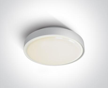 RAFTI N ceiling light 16W 3000K IP65 grey