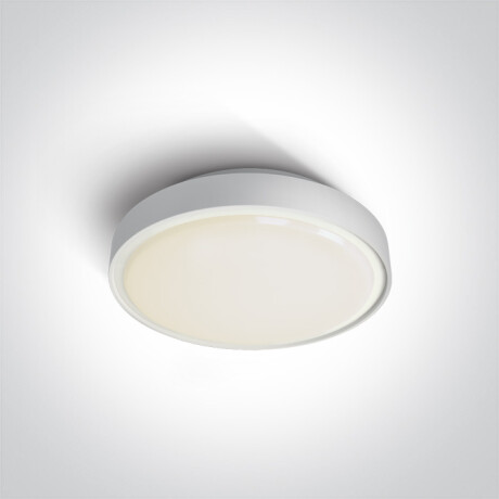 RAFTI N ceiling light 16W 3000K IP65 grey #1